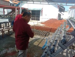 Wujudkan Ketahanan Pangan, Kalapas Pantau Persiapan Pengolahan Lahan Ketahanan Pangan dan Budidaya Hidroponik