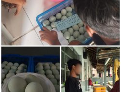 Berbuka dengan Keistimewaan: Telur Asin Hasil Program Pembinaan Warga Binaan Lapas Pati Jadi Hidangan Extra di Bulan Ramadhan