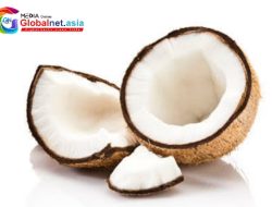 Lebaran Kupat Harga Kelapa Capai 35 Ribu