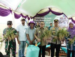 Bupati Dorong Petani Pati Hasilkan Padi 10 Ton/Hektar