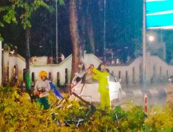 Langkah Sigap Polresta Pati Dalam Mengamankan dan Menangani Pohon Tumbang yang Menimpa Mobil