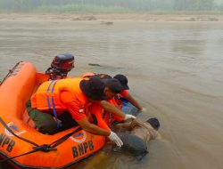Anak Hanyut di Pekan Tebih Telah Ditemukan Polsek Kepenuhan dan Tim Gabungan BPBD