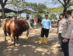 “Dari Kampus Hingga Pasar Hewan: Strategi Polresta Pati Sasar Premanisme Lewat Operasi Aman Candi”