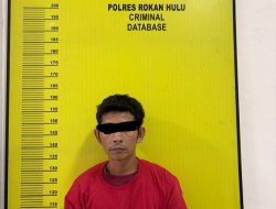 Polres Rohul Ciduk Bandar dan Pengedar Narkotika dari Sumut, Amakan 32,04 Gram Sabu