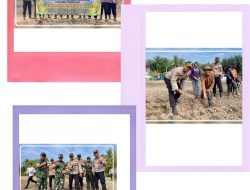 Dukung Program Ketahanan Pangan Nasional, Polsek Tapung Tanam Jagung Pipil di Desa Indrapuri