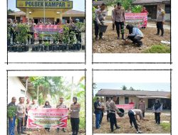 Menjelang Hari Bhayangkara ke-79: Polsek Kampar Lestarikan Lingkungan dengan Penanaman 50 Bibit Pohon Unggul!