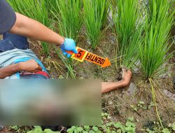 Penemuan Mayat di Sawah Desa Ngawen, Diduga Tersengat Listrik Jebakan Tikus