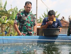Dandim 0718/Pati Tinjau Pengembangan Mikroba PA 63 WD 05 untuk Budidaya Perikanan Bioflok di Jakenan
