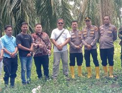 Tinjau Kondisi Land Aplikasi PT. KSM, Ini Poin Tuntutan K.SPSI-F.SPPP Pada Camat dan Kapolsek Rambah Samo
