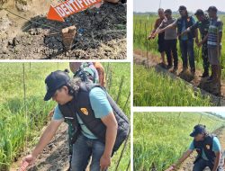 Kapolsek Juwana Imbau Warga Tak Pasang Aliran Listrik di Sawah Usai Insiden Gadingrejo