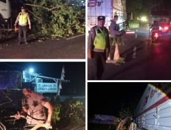 Respons Cepat Polsek Pati Kota, Evakuasi Pohon Tumbang Tuntas dalam Hitungan Menit