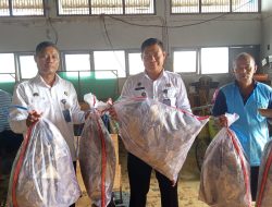 Panen Jangkrik di Lapas Pati, Wujud Nyata Program Kemandirian Warga Binaan