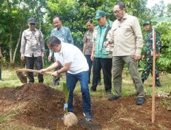 Bupati Sudewo Serahkan 10 Ribu Bibit Kelapa di Cluwak, Dorong Kesejahteraan Petani