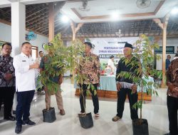 Lagi, Bupati Sudewo Salurkan Bantuan Ribuan Bibit Durian Premium Musangking dan Blackthorn