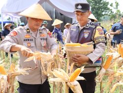 Polresta Pati Laksanakan Panen Raya Jagung Serentak Kuartal IV Tahun 2026 sebagai Penguatan Ketahanan Pangan