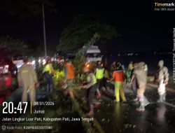 Sat Samapta Polresta Pati Quick Respon Evakuasi Pohon Trembesi Tumbang di Tlogowungu