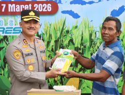 Kapolres Demak Pimpin Penanaman Jagung Serentak Bersama Petani di Wonosekar