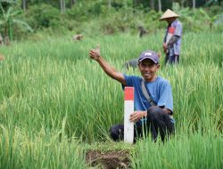 Mudik ke Kampung Halaman? Jaga Batas Tanah sebagai Langkah Awal Cegah Konflik Antartetangga