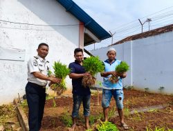 Dukung Ketahanan Pangan, Lapas Kelas II B Pati Panen Kangkung