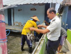Tunjukkan Hasil Pembinaan Kemandirian, 50 Kg Udang Berhasil Dipanen WBP Lapas Pati