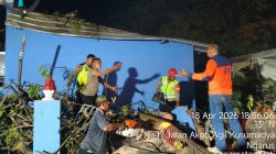 Sat Samapta Polresta Pati Sigap Evakuasi Pohon Tumbang, Akses Jalan Kolonel Sugiono Kembali Normal