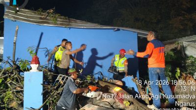 Sat Samapta Polresta Pati Sigap Evakuasi Pohon Tumbang, Akses Jalan Kolonel Sugiono Kembali Normal