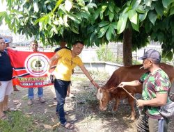 LSM Laskar Joyo Kusumo Sembelih 1 Sapi dan 4 Kambing Kurban