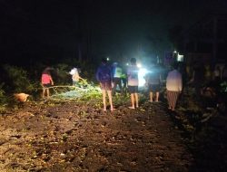 Polsek Jaken Gerak Cepat Evakuasi Pohon Tumbang di Jalur Jaken–Jakenan
