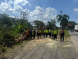Respons Cepat Aduan 110, Polresta Pati Tangani Pohon Tumbang di JLS Widorokandang