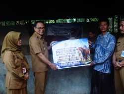 Plt Bupati Serahkan Bantuan Sapi Kurban ke Warga