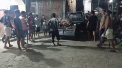 Kerbau Kurban Lepas di Kudus, Seruduk 2 Pemotor hingga Dilumpuhkan Polisi