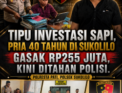 Tipu Investasi Sapi, Pria 40 Tahun di Sukolilo Gasak Rp255 Juta, Kini Ditahan Polisi