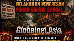 Pohon Lahan KPS Dilindungi, Dinilai Petugas Regaloh Melakukan Peneresan Pohon Dibibir Sungai