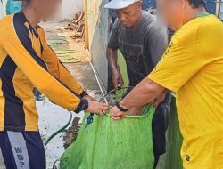 Panen Ikan Lele di Lahan SAE Lapas Kelas IIB Pati Dukung Ketahanan Pangan
