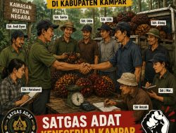 Masyarakat Soroti Dugaan Praktik Jual Beli Buah Kelapa Sawit dari Kawasan Hutan di Kabupaten Kampar
