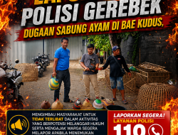 Berawal dari Laporan 110, Polisi Gerebek Dugaan Sabung Ayam di Bae Kudus