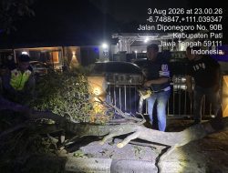 Kapolresta Turun langsung, Respons Cepat Pohon Trembesi Tumbang, Arus Lalu Lintas di Jalan Diponegoro Kembali Normal