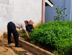 Sejengkal Lahan, Segenggam Harapan: Panen Kangkung Lapas Pati Dukung Ketahanan Pangan”