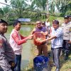Dukung Program Ketahanan Pangan Nasional, Pemdes Puo Raya Kecamatan Tandun Panen Perdana Ikan Patin