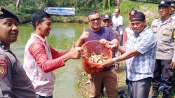 Dukung Program Ketahanan Pangan Nasional, Pemdes Puo Raya Kecamatan Tandun Panen Perdana Ikan Patin