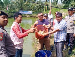 Dukung Program Ketahanan Pangan Nasional, Pemdes Puo Raya Kecamatan Tandun Panen Perdana Ikan Patin