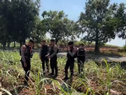 Waspadai Lahan Kering, Polisi Pati Gencarkan Patroli Cegah Karhutla di Kebun Sukoharjo Pati