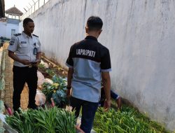 Panen Kangkung, Lapas Kelas IIB Pati Petik Hasil Budidaya Pertanian