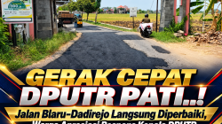 GERAK CEPAT DPUTR PATI..! Jalan Blaru–Dadirejo Langsung Diperbaiki, Warga Apresiasi Respons Kepala DPUTR